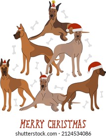 Abstract Christmas tree. Vector illustration. Merry Christmas greeting card with cute funny brown and Great Dane dogs wearing winter hats. Cute funny dogs. Character design.