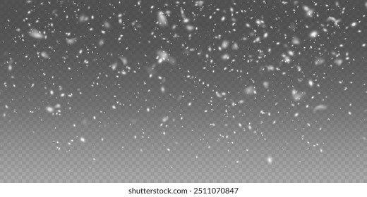Abstract christmas winter background from snowflakes blown by the wind on a background. White dust light png. Heavy snowfall, snowflakes in different shapes and forms.