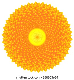 Abstract chrysanthemum