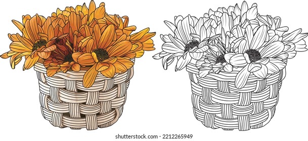 Abstract of chrysanthemum flower in pot with out line on white background.