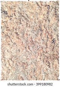 Abstract circle brown gray on white background (Soda light Style)