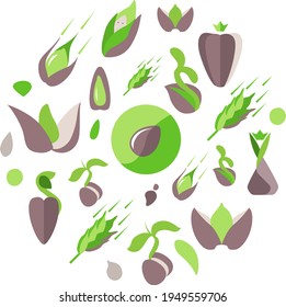 Abstrakter Kreis aus verschiedenen abstrakten Symbolen.  Mais, Samen und Glühbirnen in runder Form. Mit verschiedenen abstrakten trendigen Symbolen. Illustration für Markenprojekte und Gartenläden.
