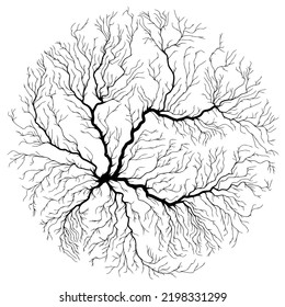 Abstract circle shape illustration of tree roots.