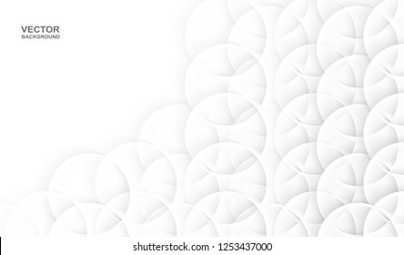 Abstract. Circle white background ,light and shadow. copy space .Vector