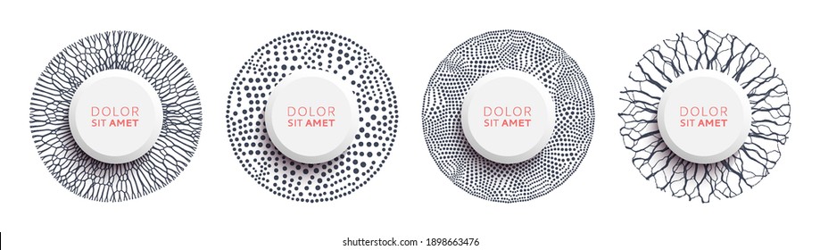 Abstract circles with dots of different sizes. Modern elements with dynamic particles of small particles. Vector illustration.