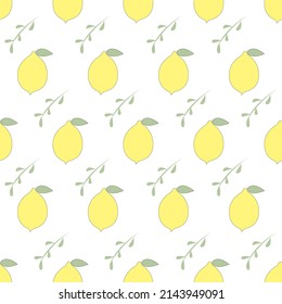 Abstract citrus lime with green leaves isolated on white background is in Seamless pattern - vector illustration