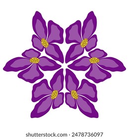 Abstract clematis flowers isolated design element. Pink, fuchsia flower element on white background. Floral mandala vector illustration. Fantasy round ornament for decor clothes, home, etc.