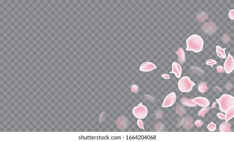 Abstrakte Nahaufnahme auf weichem, transparentem Hintergrund. Großartiges Design für jeden Zweck. Frühlingsblumen blühen. Magenta auf Transparent.