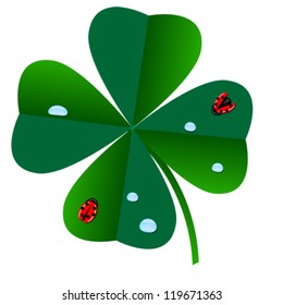 abstract clover leaf with ladybugs and dew on it isolated on white background vector