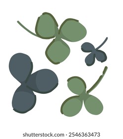 Abstract clover plant leaves set. Simple shamrock leaf in cartoon style. Botanical clip art isolated on white. Vector illustration.