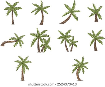 Abstract coconut tree hand drawing line for decoration on tropical beach, summer vacation and island concept.