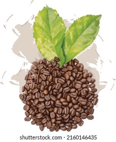 Resumen del grupo de granos de café sobre el fondo de salpicadura de color.