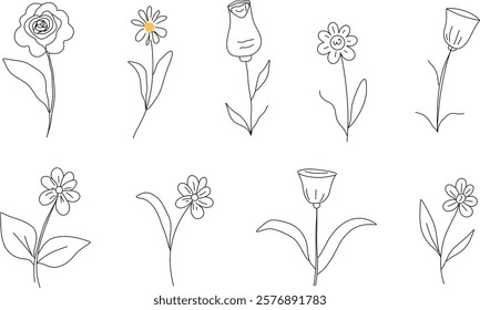 Abstract collection flowers. Line art minimalism botany. 