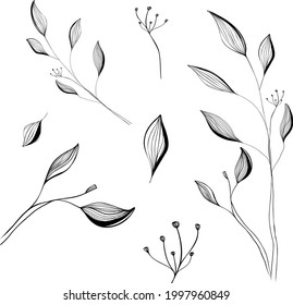 Abstract collection of twigs, hand drawn outline illustration. Vector set for creative design of covers, stories, social media posts, photos, editable backgrounds. Blank, sketch, elements