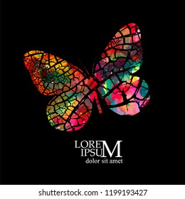 Abstract color butterfly. Vector