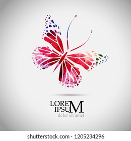 Abstract color butterfly. Vector