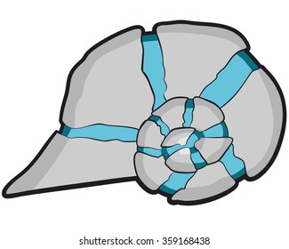 abstract color illustration of a snail shell for you