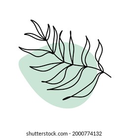 Abstract color leaf as line drawing on the white background. Vector