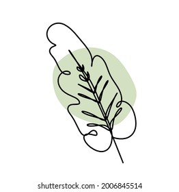 Abstract color leaf as line drawing on the white background. Vector