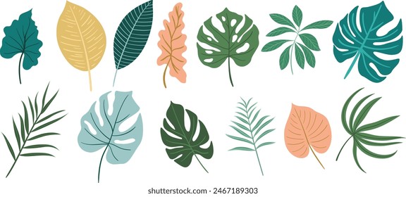 Abstract color leaves isolated on white collection. Tropical leaves set. Hand drawn vintage illustration.