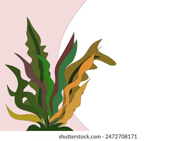 color abstracto del Plan aislado en blanco