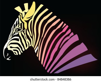 abstract color zebra