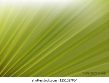 Abstract colored background, soft light, ray texture. Vector illustration