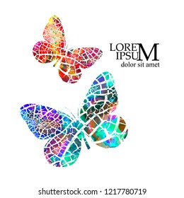 Abstract colored butterflies. Vector