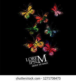 Abstract colored butterflies. Vector
