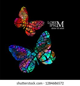 Abstract colored butterflies. Vector