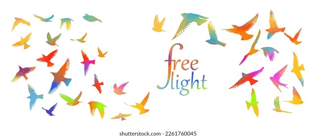 Abstract colored flying birds. Mixed media. Vector illustration