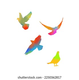 Abstract colored flying birds. Rainbow doves. Mixed media. Vector illustration