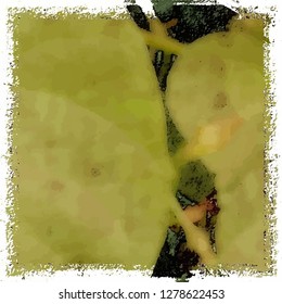 Abstract colored grunge background
