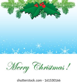 Abstract colorful background with fir branches, mistletoe and white snowflakes. Christmas card concept