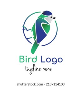 Abstract colorful blue Robin bird vector illustration with dummy text on white background.