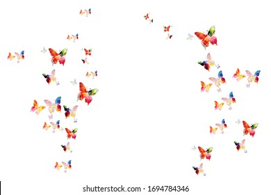 Abstract colorful butterflies poster background for fabric and fashion, spa and wellness, wedding and events. Butterflies isolated invitation card design