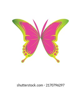 Abstract colorful butterfly illustration with the white background