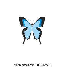 
ABSTRACT COLORFUL BUTTERFLY TATOO BLUE SILHOUETTE