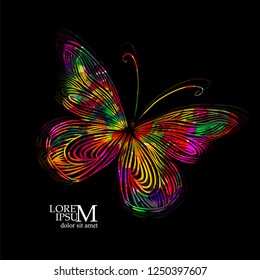 Abstract colorful butterfly. Vector