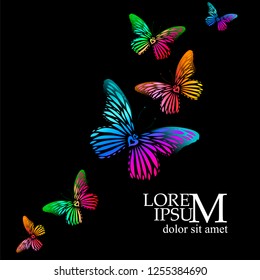 Abstract colorful butterfly. Vector