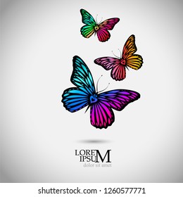 Abstract colorful butterfly. Vector