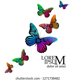 Abstract colorful butterfly. Vector