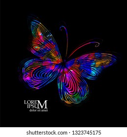 Abstract colorful butterfly. Vector