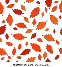 Abstract colorful fall leaves seamless pattern vector for decoration on Autumn season, herbal tea and Thanksgiving festival concept.