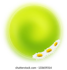 Abstract colorful flower background.