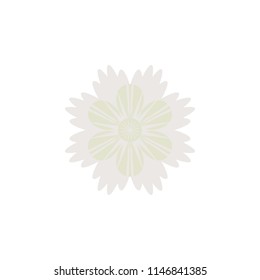 Abstract colorful flower icon on white background