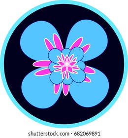 abstract colorful  flowers 
