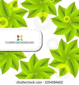 Abstract colorful flowers background template layout design