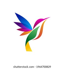 abstract colorful hummingbird colibri bird logo line outline monoline vector icon illustration
