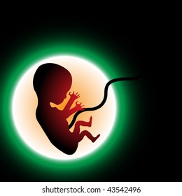 Abstract colorful illustration with fetus in a colored womb. Unborn baby theme